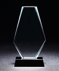 Kỷ niệm chương