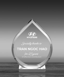 Kỷ niệm chương