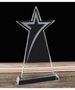 Kỷ niệm chương sao